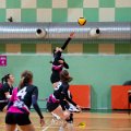 Pallavolo_CUS_Brescia_Volley_USD_S_Michele_Travagliato_2025-01-24_dm_0224