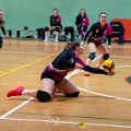 Pallavolo_CUS_Brescia_Volley_USD_S_Michele_Travagliato_2025-01-24_dm_0239