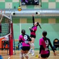 Pallavolo_CUS_Brescia_Volley_USD_S_Michele_Travagliato_2025-01-24_dm_0339