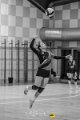 Pallavolo_CUS_Brescia_Volley_USD_S_Michele_Travagliato_2025-01-24_dm_0556