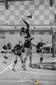 Pallavolo_CUS_Brescia_Volley_USD_S_Michele_Travagliato_2025-01-24_dm_0595