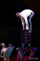 Gravity_Circus_NO_Limits_BS_2023-01-07_dm_0048