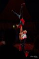 Gravity_Circus_NO_Limits_BS_2023-01-07_dm_0642