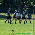 Rugby_Fiumicello-BBRisorgive_2024-06-01_dm_641