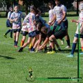 Rugby_Fiumicello-BBRisorgive_2024-06-01_dm_819