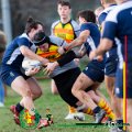 Rugby_Fiumicello-BorgoPoncarale_Centurioni_2024-02-25_dm_0263