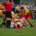 Rugby_Fiumicello-Calvisano-Desenzano_2023-10-14_dm_0621