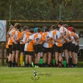 Rugby_Fiumicello-Falchi_Rugby_Lomellina_2023-10-07_dm_0037