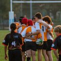Rugby_Fiumicello-Falchi_Rugby_Lomellina_2023-10-07_dm_0146