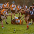 Rugby_Fiumicello-Falchi_Rugby_Lomellina_2023-10-07_dm_0164