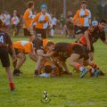 Rugby_Fiumicello-Falchi_Rugby_Lomellina_2023-10-07_dm_0165