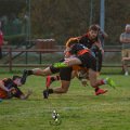 Rugby_Fiumicello-Falchi_Rugby_Lomellina_2023-10-07_dm_0171