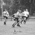 Rugby_Fiumicello-Falchi_Rugby_Lomellina_2023-10-07_dm_0181