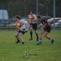 Rugby_Fiumicello-Falchi_Rugby_Lomellina_2023-10-07_dm_0232