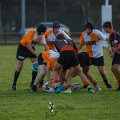 Rugby_Fiumicello-Falchi_Rugby_Lomellina_2023-10-07_dm_0246