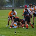 Rugby_Fiumicello-Falchi_Rugby_Lomellina_2023-10-07_dm_0257