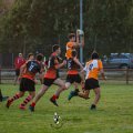 Rugby_Fiumicello-Falchi_Rugby_Lomellina_2023-10-07_dm_0265