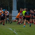 Rugby_Fiumicello-Falchi_Rugby_Lomellina_2023-10-07_dm_0273