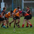 Rugby_Fiumicello-Falchi_Rugby_Lomellina_2023-10-07_dm_0291