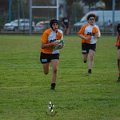 Rugby_Fiumicello-Falchi_Rugby_Lomellina_2023-10-07_dm_0322