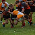 Rugby_Fiumicello-Falchi_Rugby_Lomellina_2023-10-07_dm_0352