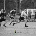 Rugby_Fiumicello-Falchi_Rugby_Lomellina_2023-10-07_dm_0407