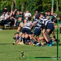 Rugby_Fiumicello-Oltremella_2024-05-11_dm_0558