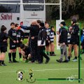 Rugby_Fiumicello-Roma_U14-U16_2024-03-10_dm_0157