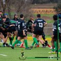 Rugby_Fiumicello-Roma_U14-U16_2024-03-10_dm_0285