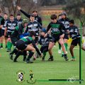 Rugby_Fiumicello-Roma_U14-U16_2024-03-10_dm_0297