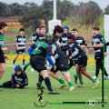 Rugby_Fiumicello-Roma_U14-U16_2024-03-10_dm_0301