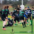 Rugby_Fiumicello-Roma_U14-U16_2024-03-10_dm_0303