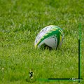 Rugby_Fiumicello-U14-Rogno_2024-04-21_263