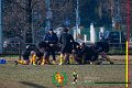 Rugby_Fiumicello_Borgo_2024-01-28_dm_001