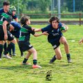 Rugby_Fiumicello_Trofeo_Corallo_2023-05-06_dm_0396