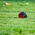 Rugby_Fiumicello_Trofeo_Corallo_2023-05-06_dm_0448