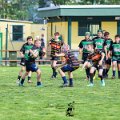 Rugby_Fiumicello_Trofeo_Corallo_2023-05-06_dm_0463