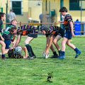 Rugby_Fiumicello_Trofeo_Corallo_2023-05-06_dm_0486