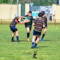 Rugby_Fiumicello_Trofeo_Corallo_2023-05-06_dm_0509