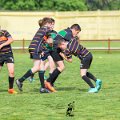 Rugby_Fiumicello_Trofeo_Corallo_2023-05-06_dm_0511