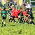 Rugby_Fiumicello_Trofeo_Corallo_2023-05-07_dm_0218
