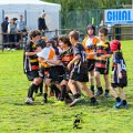 Rugby_Fiumicello_Trofeo_Corallo_2023-05-07_dm_0482