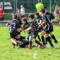 Rugby_Fiumicello_Trofeo_Corallo_2023-05-07_dm_0565