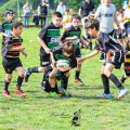 Rugby_Fiumicello_Trofeo_Corallo_2023-05-07_dm_0619