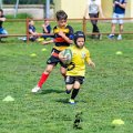 Rugby_Fiumicello_Trofeo_Corallo_2023-05-07_dm_0811