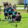 Rugby_Fiumicello_Trofeo_Corallo_2023-05-07_dm_0827