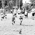 Rugby_Fiumicello_Trofeo_Corallo_2023-05-07_dm_0862