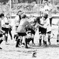 Rugby_Fiumicello_Trofeo_Corallo_2023-05-07_dm_0934