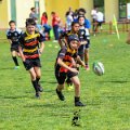 Rugby_Fiumicello_Trofeo_Corallo_2023-05-07_dm_1052