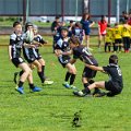 Rugby_Fiumicello_Trofeo_Corallo_2023-05-07_dm_1064